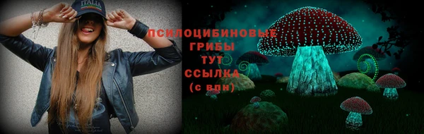 хмурый Богданович