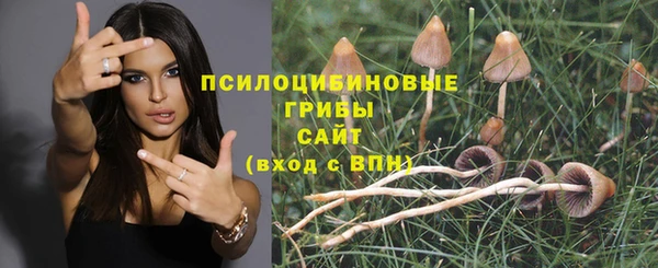 хмурый Богданович